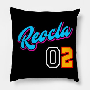 Miami Heat Color Pillow