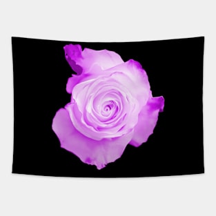 Purple Rose Tapestry