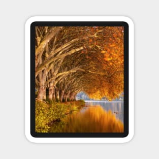 Autumn leaves design Magnet