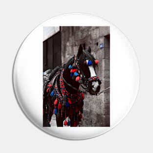 Ceremony Horse Pin