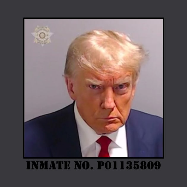 Trump mugshot by speedyturtle