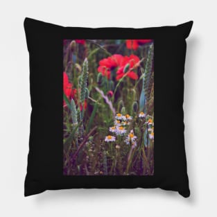 Wild Daisies Pillow