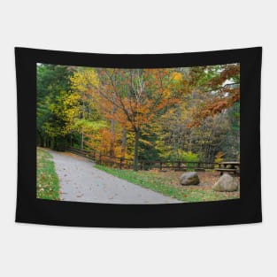 Road in the autumn Tapestry