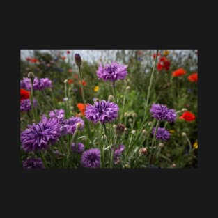 Spring Flowers in the Sun T-Shirt