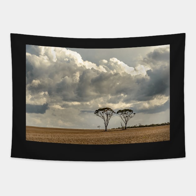 Two Trees Tapestry by fotoWerner