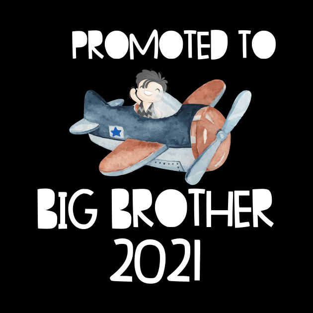 Big Brother 2021 Airplane Kids Design by alpmedia