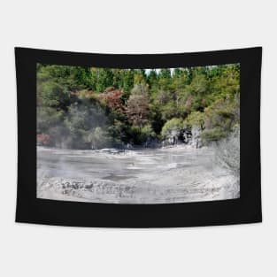 Nouvelle Zélande - Rotorua, Te Puia Tapestry