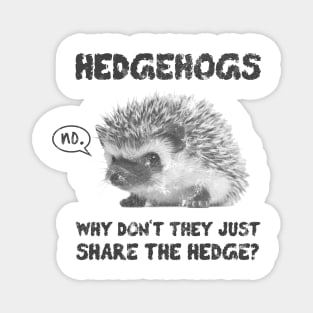 Hedgehogs - Why Don't They Just Share the Hedge Magnet