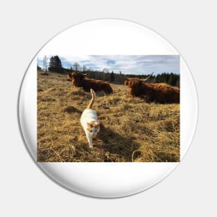 Scottish Highland Cattle Cows and cat 2360 Pin