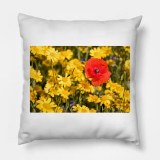 The Flowers of Hope and Remembrance. Pillow