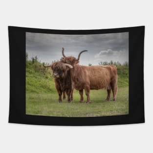 Highland Cows Tapestry