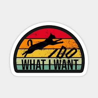 I do what I want funny cat retro Magnet