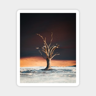 Namibian Tree Magnet