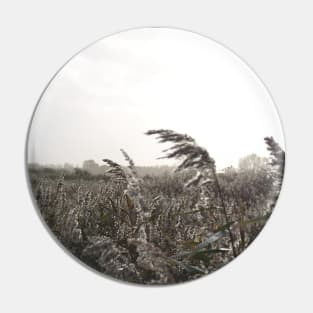 Fishbourne Reeds - a windy day on the coast near Chichester, Sussex, UK Pin