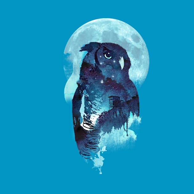 Midnight Owl by astronaut