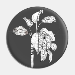 plant Pin