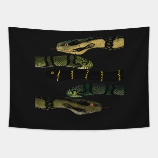 Snakes Tapestry