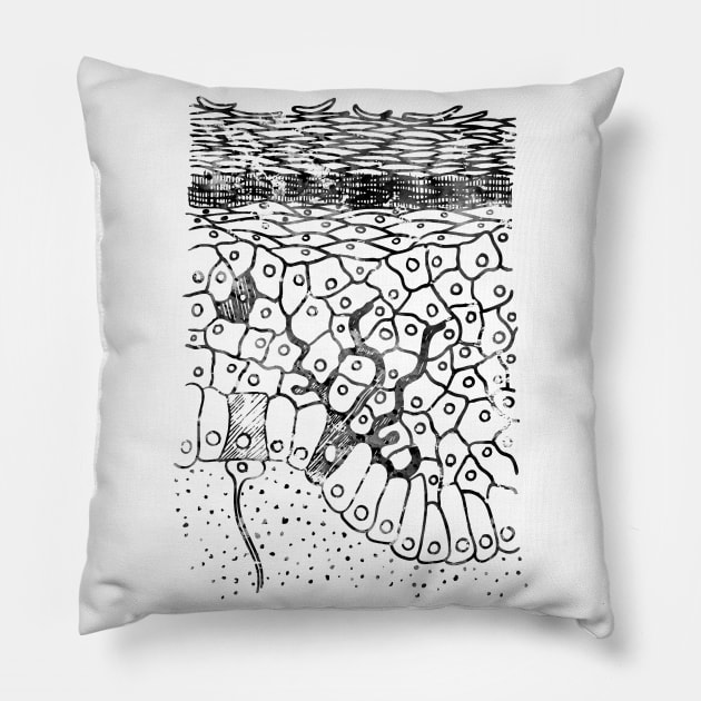 Anatomical skin layers Pillow by erzebeth