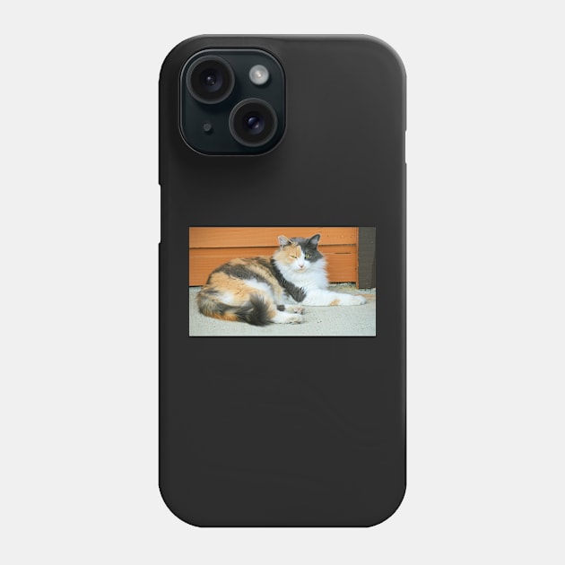 Cattitude Phone Case by kchase