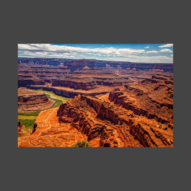 31781  Dead Horse Point State Park by Gestalt Imagery