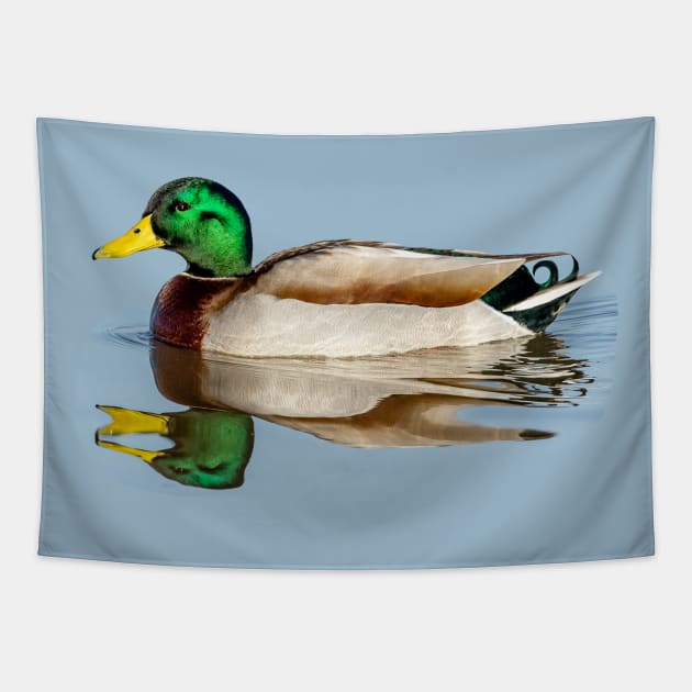 Mallard Reflections Tapestry by dalyndigaital2@gmail.com