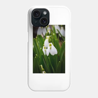 Snowdrops 3 Phone Case