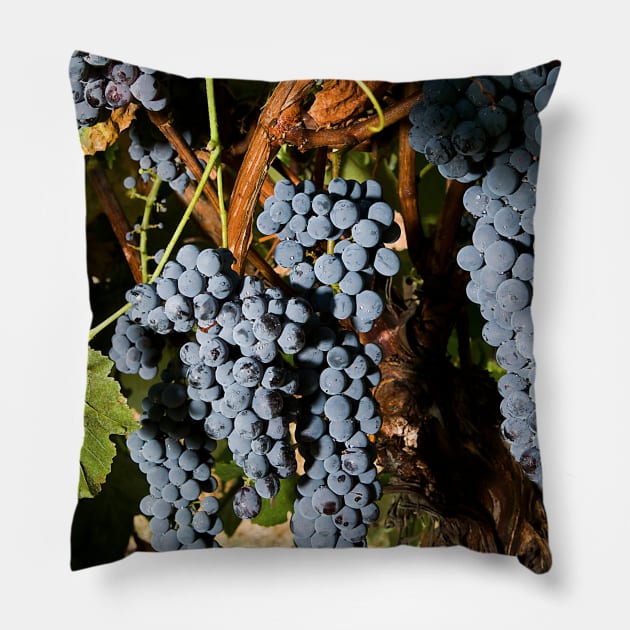 Grape Vineyard 2 Pillow by Bravuramedia