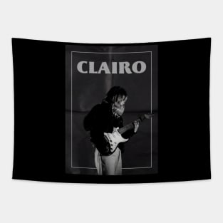 Singer And Guitar Of Clairo Tapestry