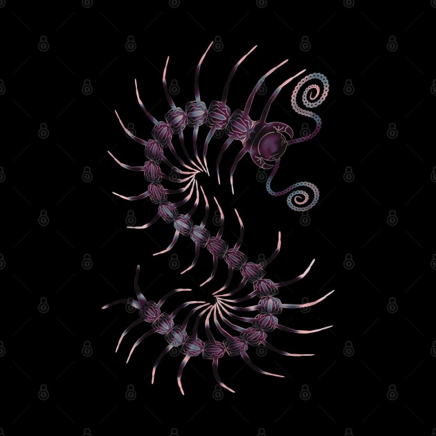 Black and Pink Centipede by IgorAndMore