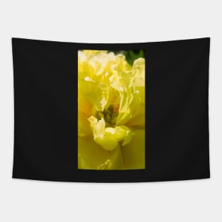 Yellow, yellow flower, flora, fauna, lime, bright yellow, bright Tapestry