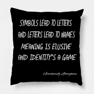 Meaning Is Elusive... Pillow