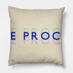 Due Process Pillow