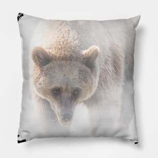 Brown Bear Animal Wildlife Forest Nature Adventure Hunt Mist Pillow