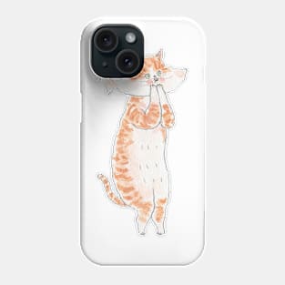 Secret Fish 2 Phone Case