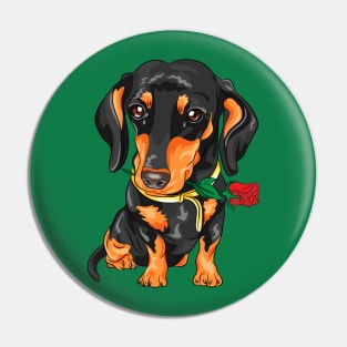 dog with red roses Pin