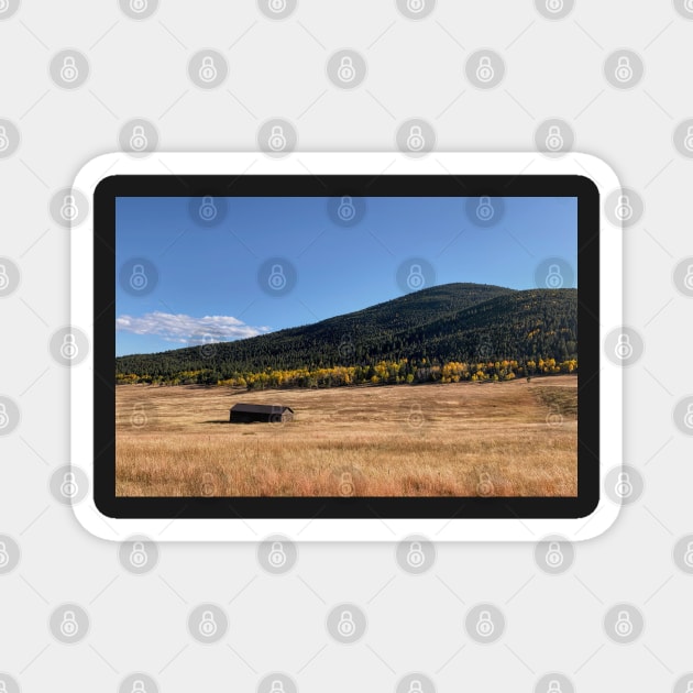 Evergreen Colorado Mountains Photography Magnet by Hellbender Creations