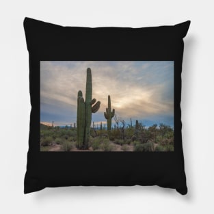 Saguaro Burst Pillow