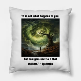 "It is not what happens to you, but how you react to it that matters." - Epictetus Pillow