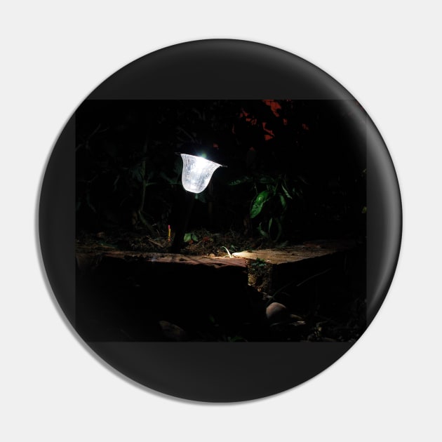 Garden Solar Light in the Dark Pin by jojobob