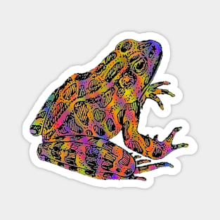 Fantasy Poison Rainbow Frog Magnet