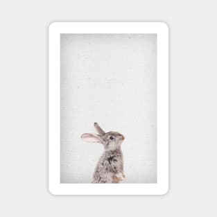 Rabbit 09 Magnet