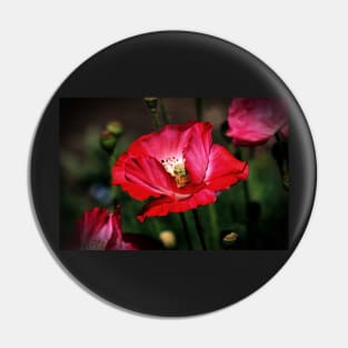 Red Poppies Pin