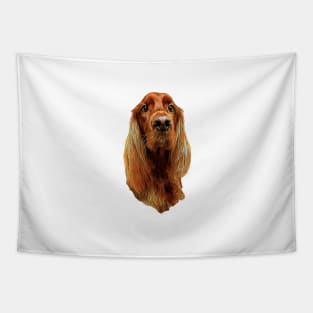 Irish Setter - Glamorous Dog! Tapestry