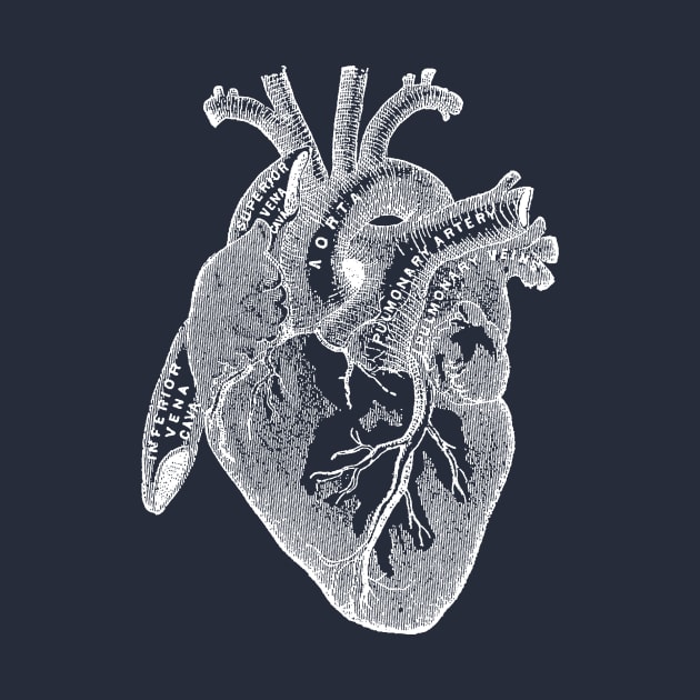 Antique Medical illustration of Human Heart by Pixelchicken