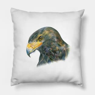 Eagle Head Hand Drawn Illustration Pillow