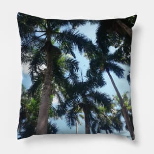 Gm:PALM TRESS Pillow