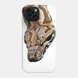 Boa Snake / Swiss Artwork Photography Phone Case