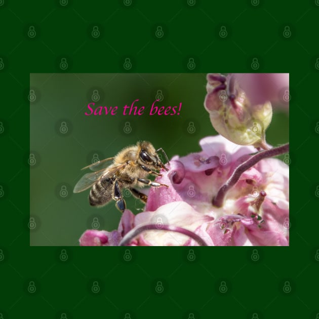 Bee by Naturelovers