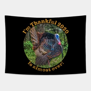 Thanksgiving 2020 Thankful this year is almost over Tapestry