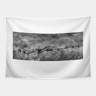 Barbed wire, in B&W Tapestry